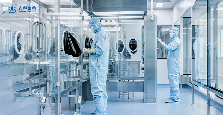 安徽ng电子游戏生物工程(集团)股份有限公司董事长、总裁宋礼华：坚定“立足安徽、扎根安徽、建设安徽”信念